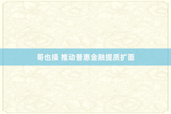 哥也操 推动普惠金融提质扩面