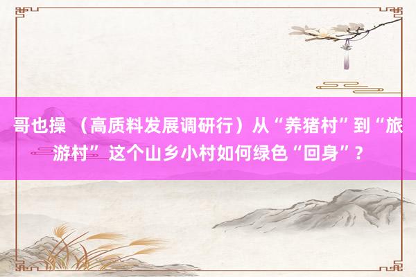 哥也操 （高质料发展调研行）从“养猪村”到“旅游村” 这个山乡小村如何绿色“回身”？