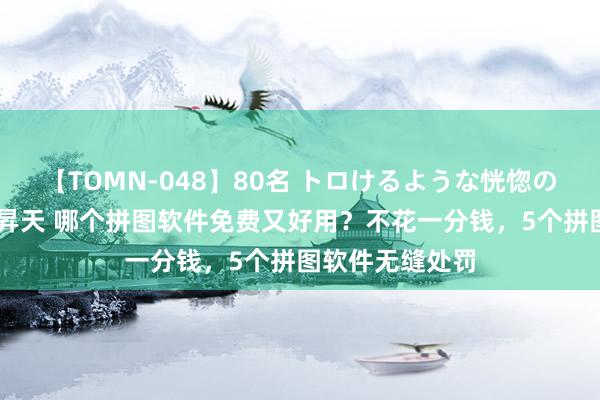 【TOMN-048】80名 トロけるような恍惚の表情 クンニ激昇天 哪个拼图软件免费又好用？不花一分钱，5个拼图软件无缝处罚