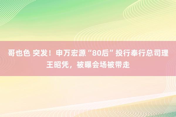 哥也色 突发！申万宏源“80后”投行奉行总司理王昭凭，被曝会场被带走