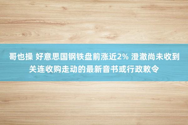 哥也操 好意思国钢铁盘前涨近2% 澄澈尚未收到关连收购走动的最新音书或行政敕令