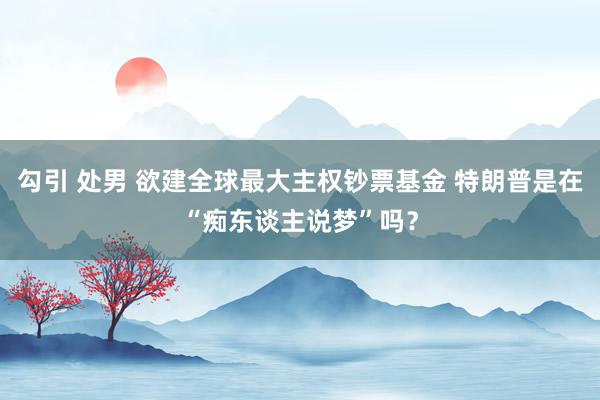 勾引 处男 欲建全球最大主权钞票基金 特朗普是在“痴东谈主说梦”吗？