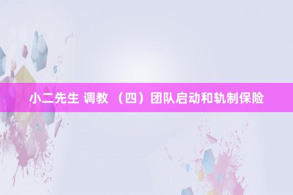 小二先生 调教 （四）团队启动和轨制保险