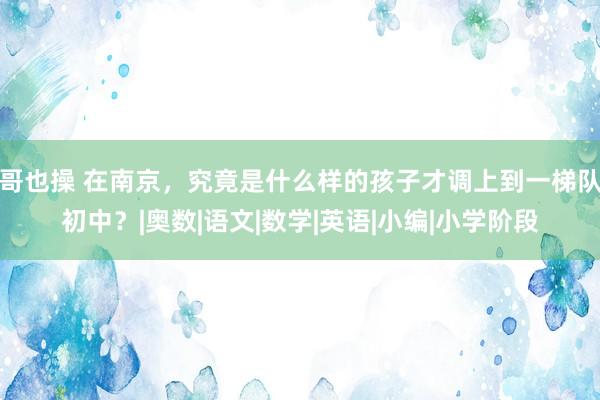 哥也操 在南京，究竟是什么样的孩子才调上到一梯队初中？|奥数|语文|数学|英语|小编|小学阶段