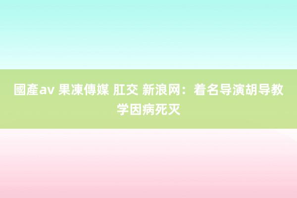 國產av 果凍傳媒 肛交 新浪网：着名导演胡导教学因病死灭