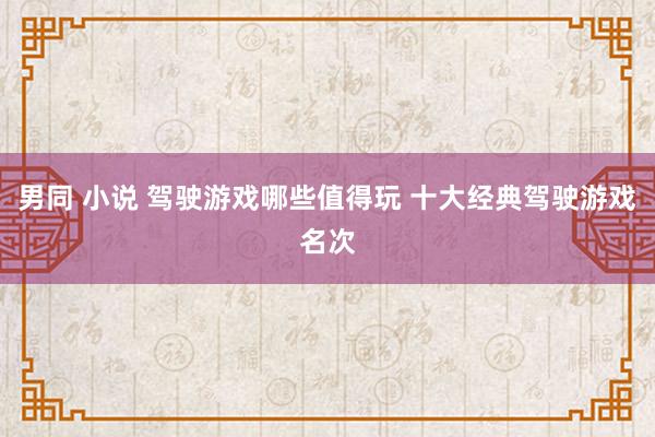男同 小说 驾驶游戏哪些值得玩 十大经典驾驶游戏名次