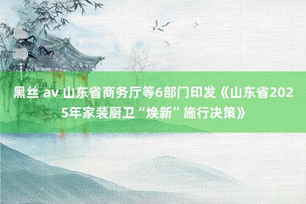 黑丝 av 山东省商务厅等6部门印发《山东省2025年家装厨卫“焕新”施行决策》
