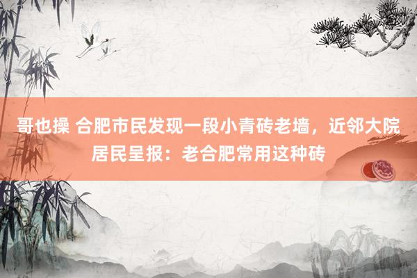 哥也操 合肥市民发现一段小青砖老墙，近邻大院居民呈报：老合肥常用这种砖