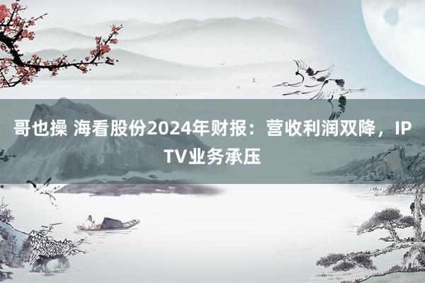 哥也操 海看股份2024年财报：营收利润双降，IPTV业务承压