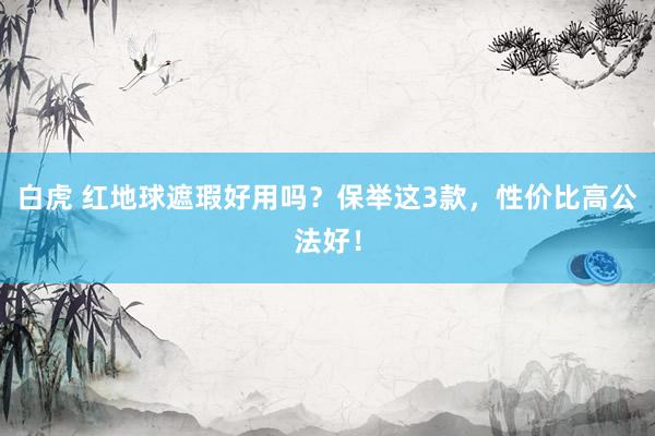白虎 红地球遮瑕好用吗？保举这3款，性价比高公法好！