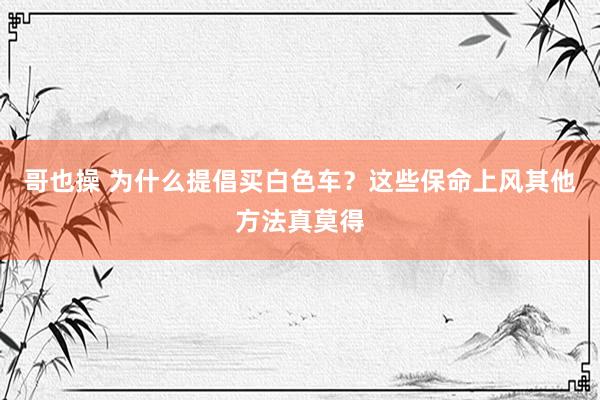 哥也操 为什么提倡买白色车？这些保命上风其他方法真莫得