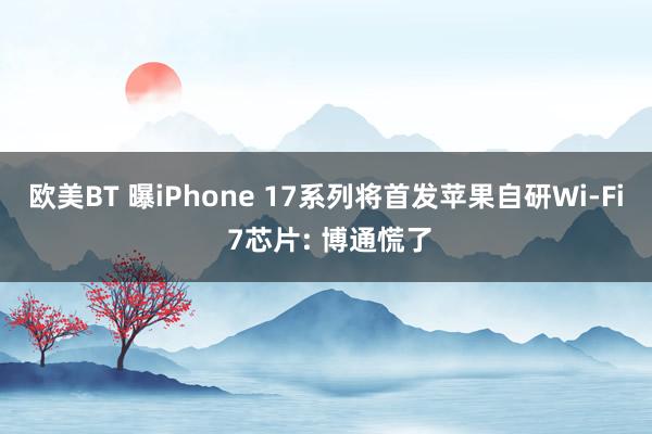 欧美BT 曝iPhone 17系列将首发苹果自研Wi-Fi 7芯片: 博通慌了