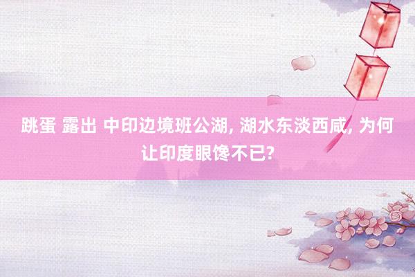 跳蛋 露出 中印边境班公湖， 湖水东淡西咸， 为何让印度眼馋不已?
