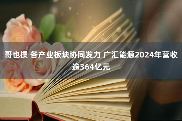 哥也操 各产业板块协同发力 广汇能源2024年营收逾364亿元