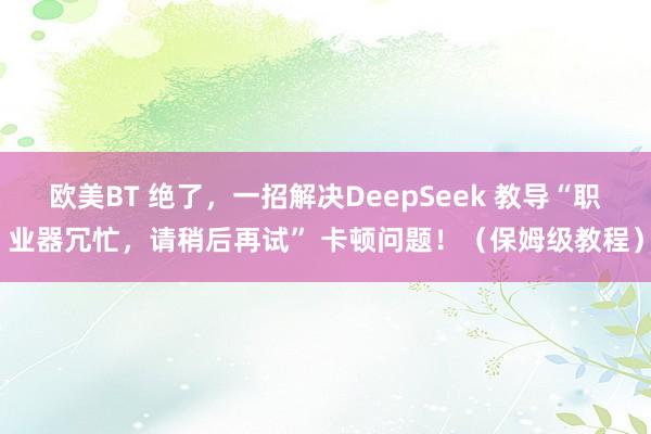 欧美BT 绝了，一招解决DeepSeek 教导“职业器冗忙，请稍后再试” 卡顿问题！（保姆级教程）